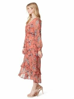 OJG Harmony Maxi Dress In Floral Burst