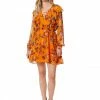 OJG Clothing Barry Dress In Sunskissed Floral