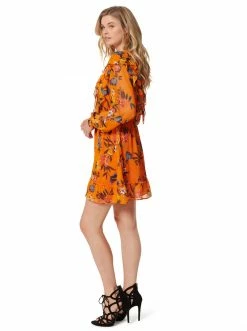 OJG Clothing Barry Dress In Sunskissed Floral