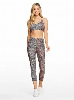 Rockfit Allie Sport Bra In Rosette Mini Cheetah Ombre Clothing