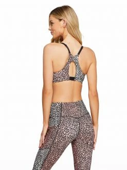 Rockfit Allie Sport Bra In Rosette Mini Cheetah Ombre Clothing