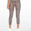 Rockfit Tummy Control Capri In Rosette Mini Cheetah Ombre Clothing