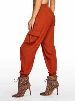 OJG Clothing Soft Utility Pant In Arabian Spice